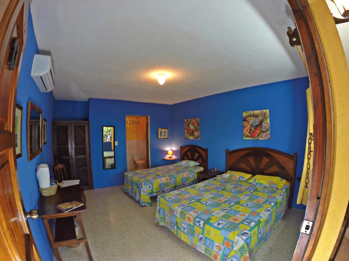 Cafe Del Sol Hotel 3*